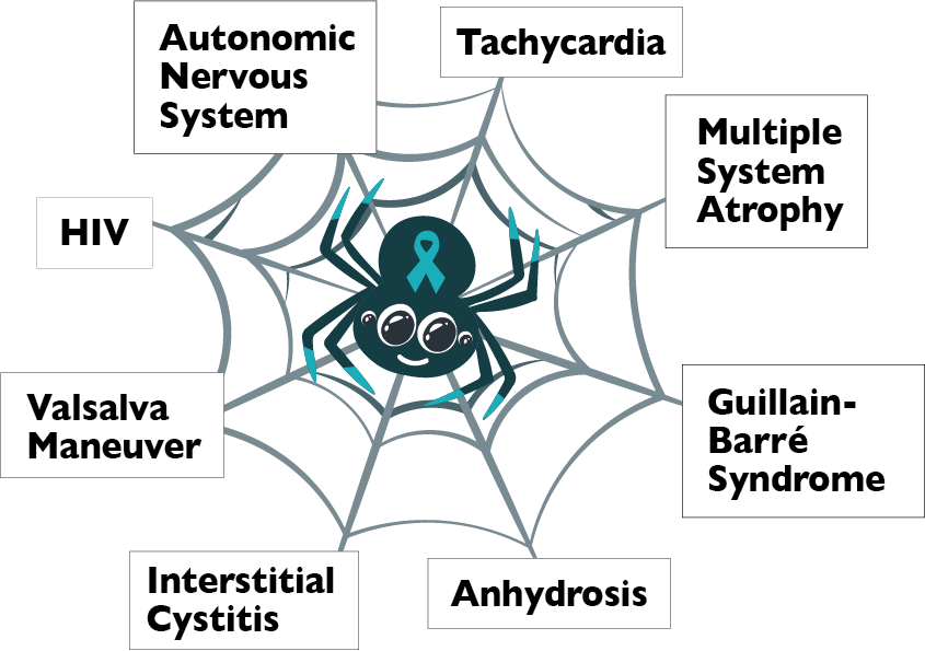 web-graphic-Welcome To The Web of Dysautonomia